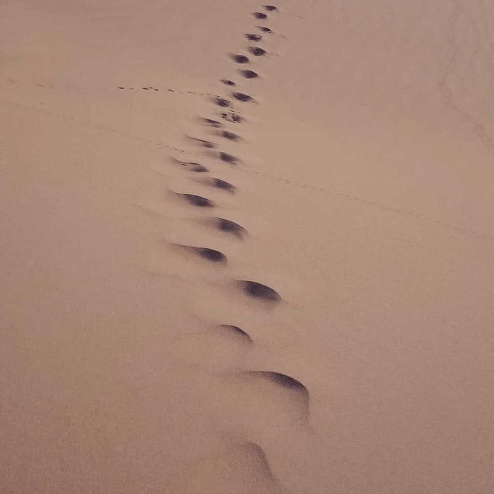 Meet your Posher, Pilar